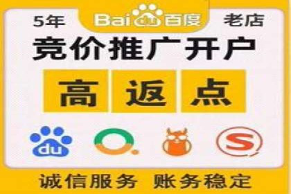 百度竞价SEM案例：揭秘高效广告投放技巧